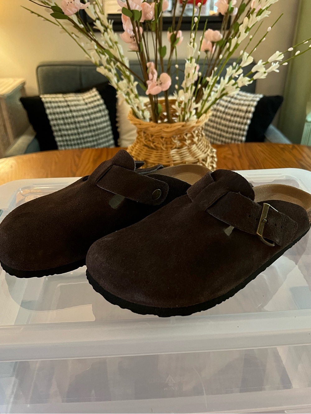 NEW!! Dark Brown Suede Slip-On Clogs with Buckle